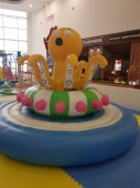 Чехол для Rotating Octopus