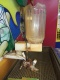 Клапан слива воды из кружки (клапан + кружка)